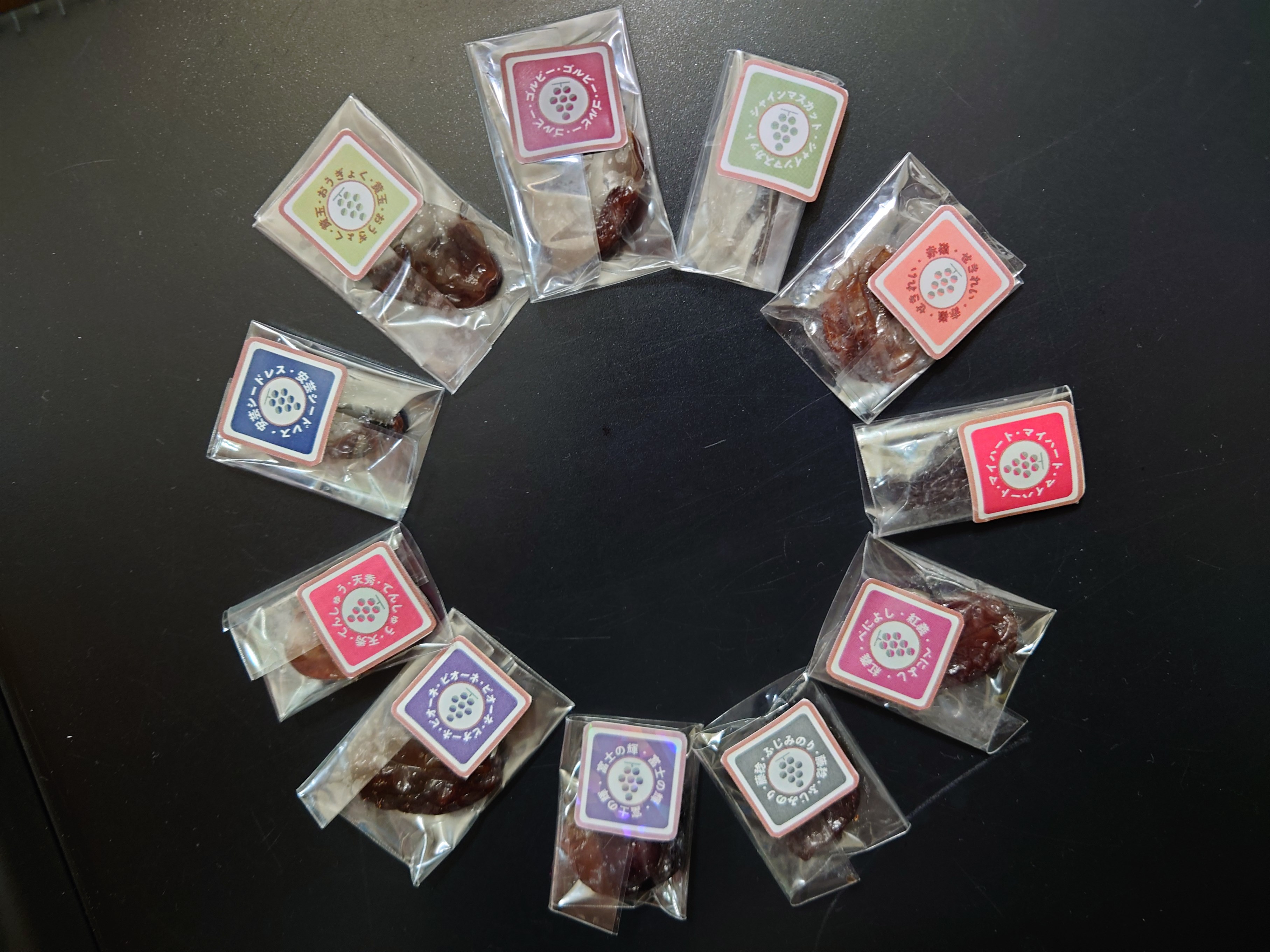 2023年度 新商品勢揃い!!