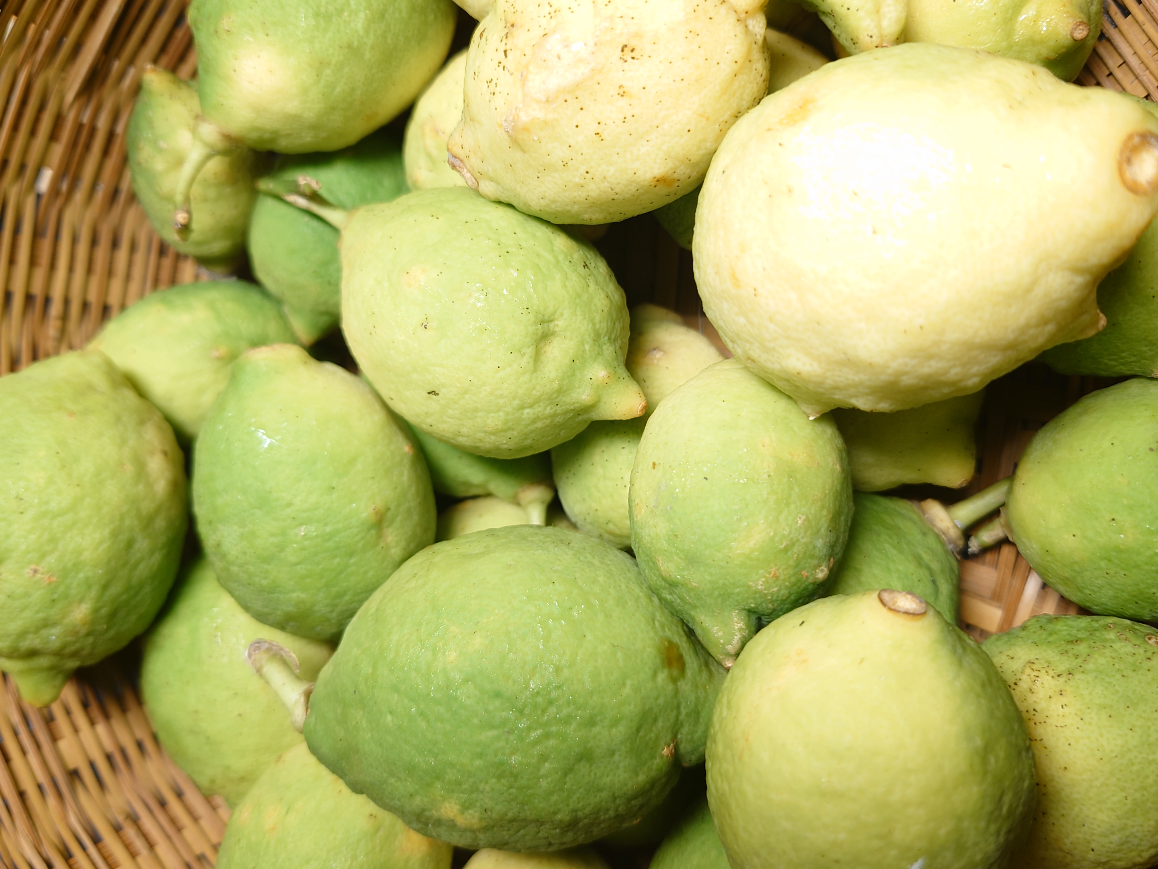 ジャム・コンポートの原材料のこだわり