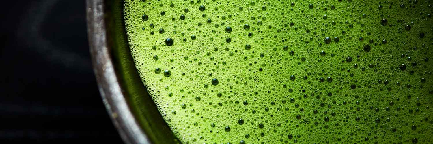 お買い物ガイド