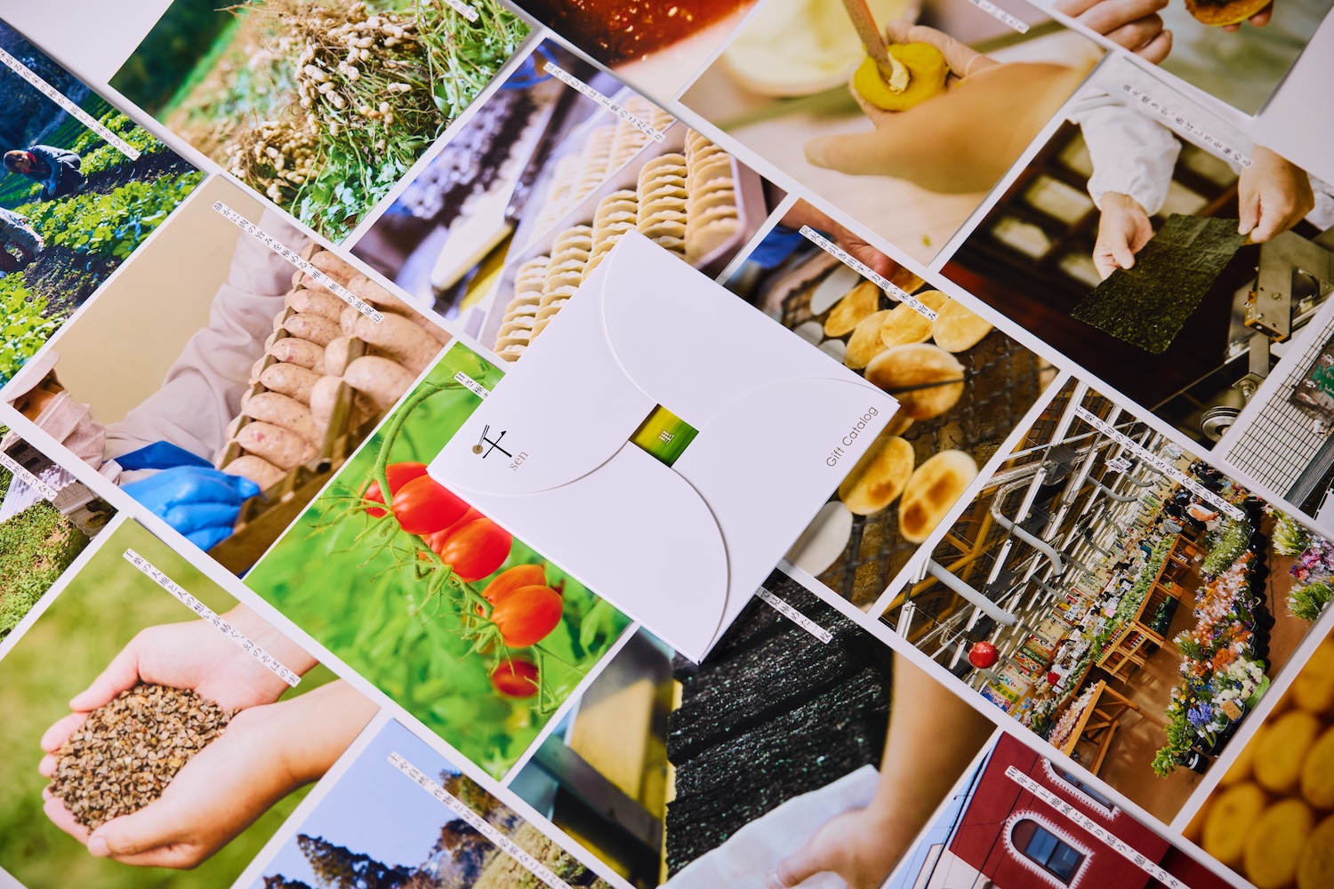 千葉市カタログギフト「千」