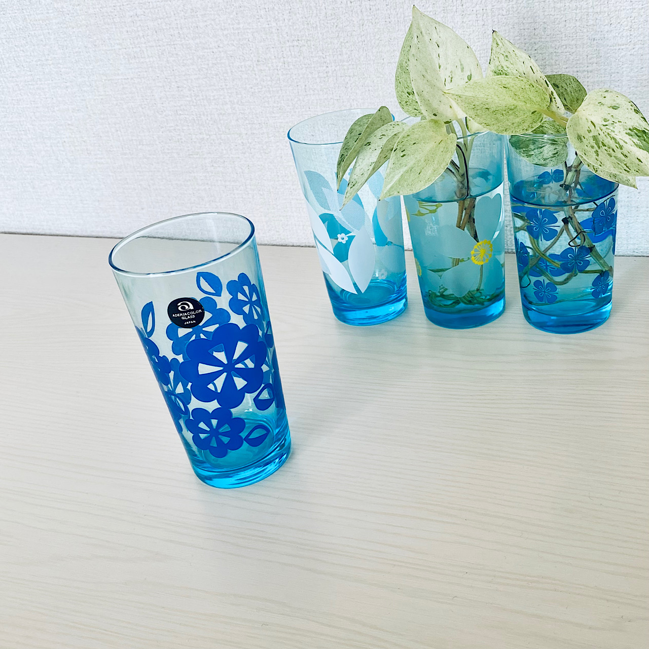 アデリアグラス〈しのびあい〉追加しました。