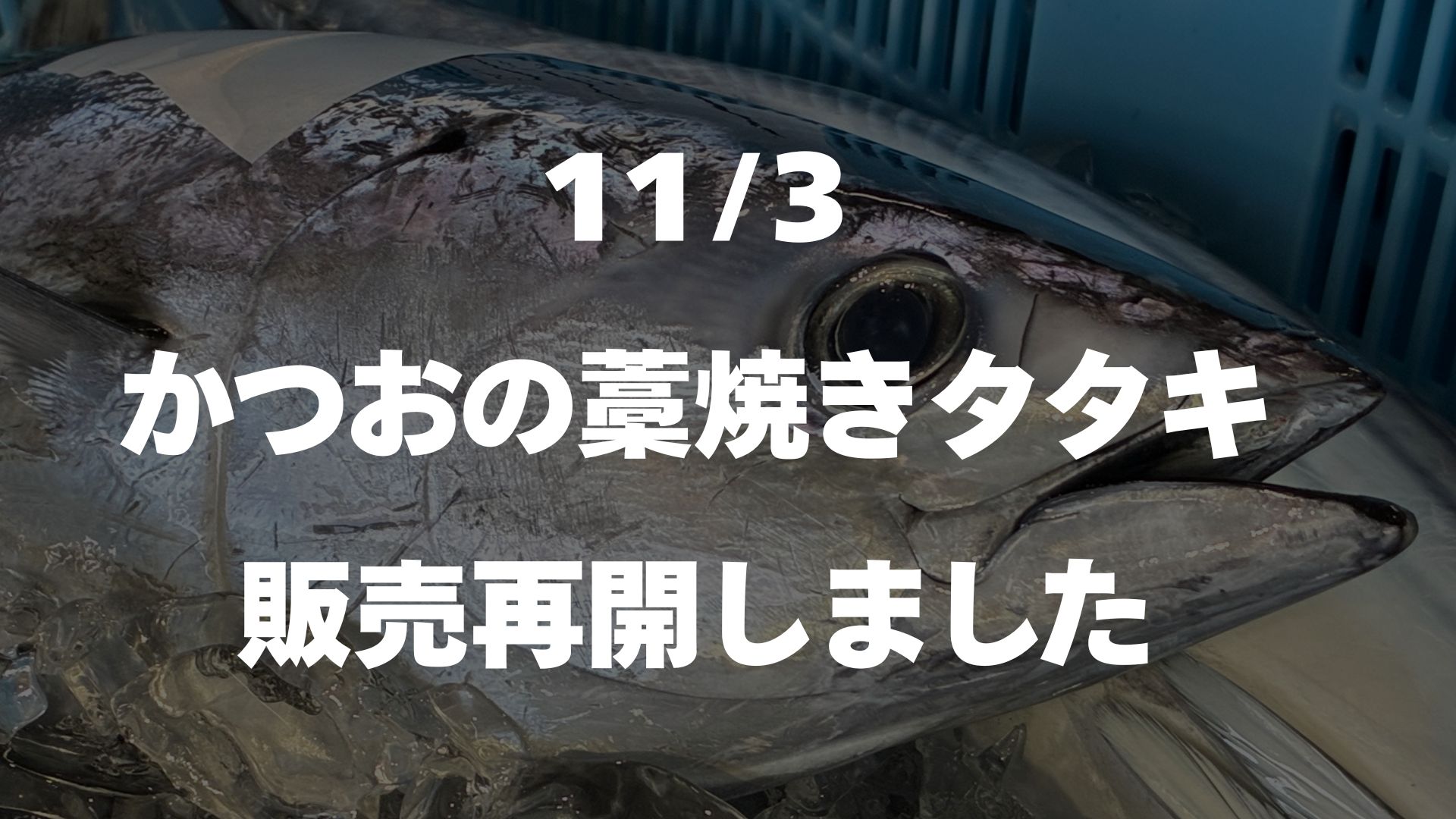 土佐久礼かつおの藁焼きタタキ・ユッケ丼セット販売再開のお知らせ