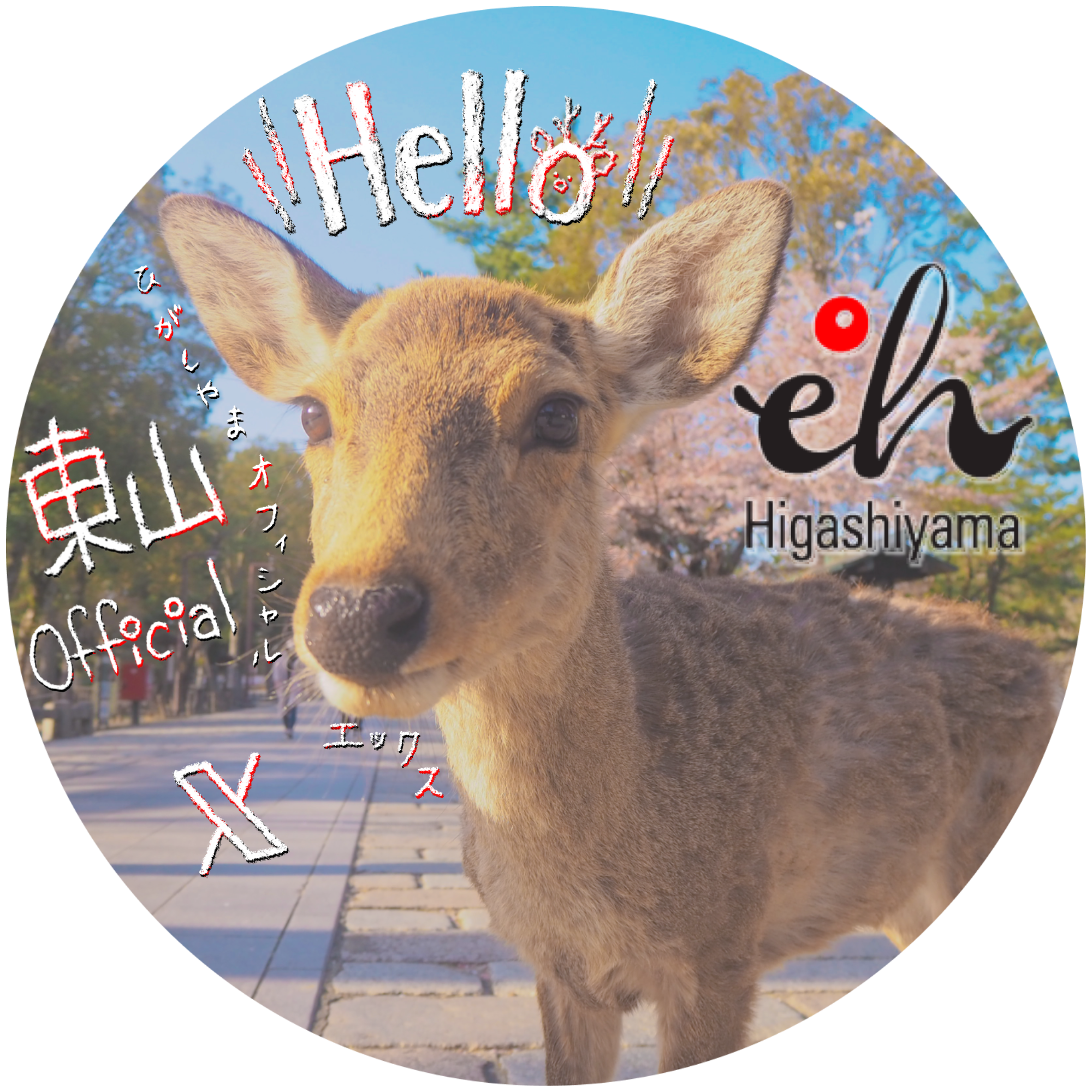 Xを始めました！　