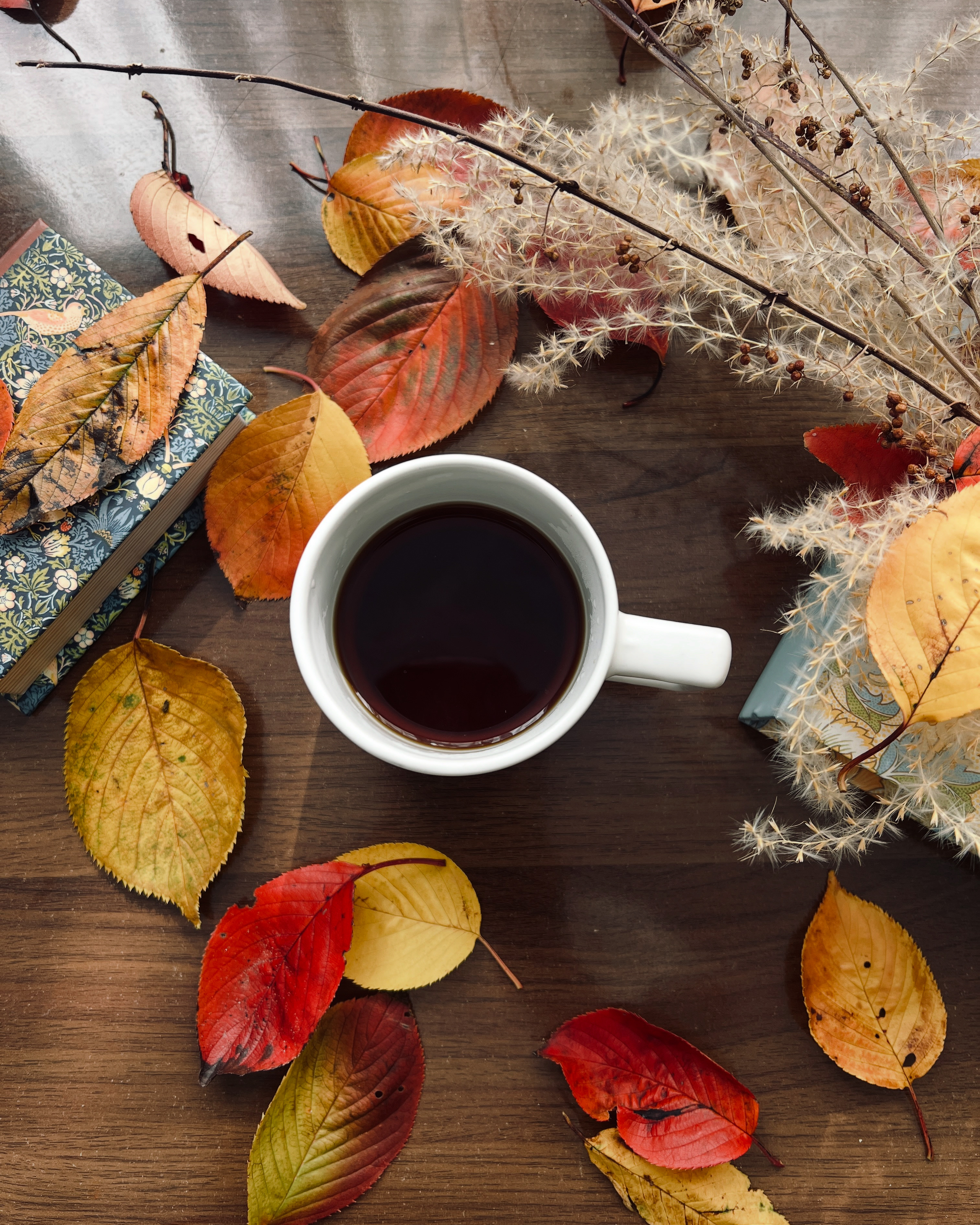 11月コロンビア エメラルドマウンテン