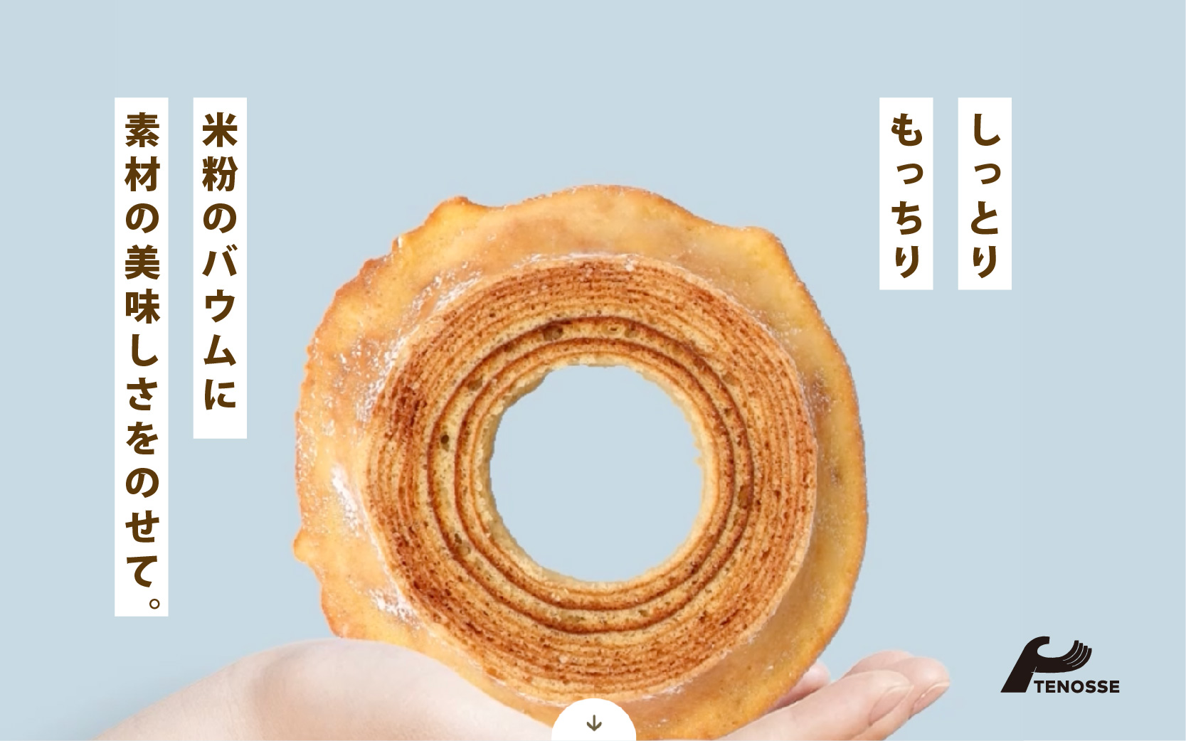 TENOSSE STORY
