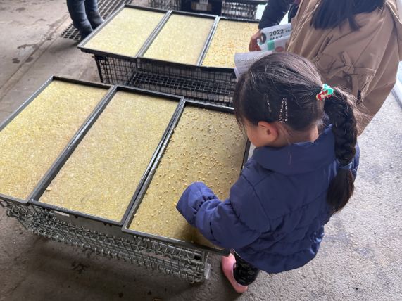 【開催レポート】土と火と、恵みの味！アッシーリス体験イベント（種まき＆ぬかくど）で五感をフル稼働！
