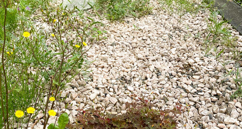 プロが教える！失敗しない人工芝の選び方ガイド【初心者向け】