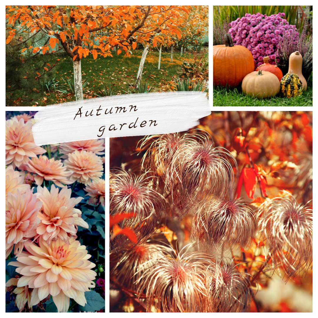 秋の庭を彩るレンガを使ったガーデニングDIYアイデア4選🍁