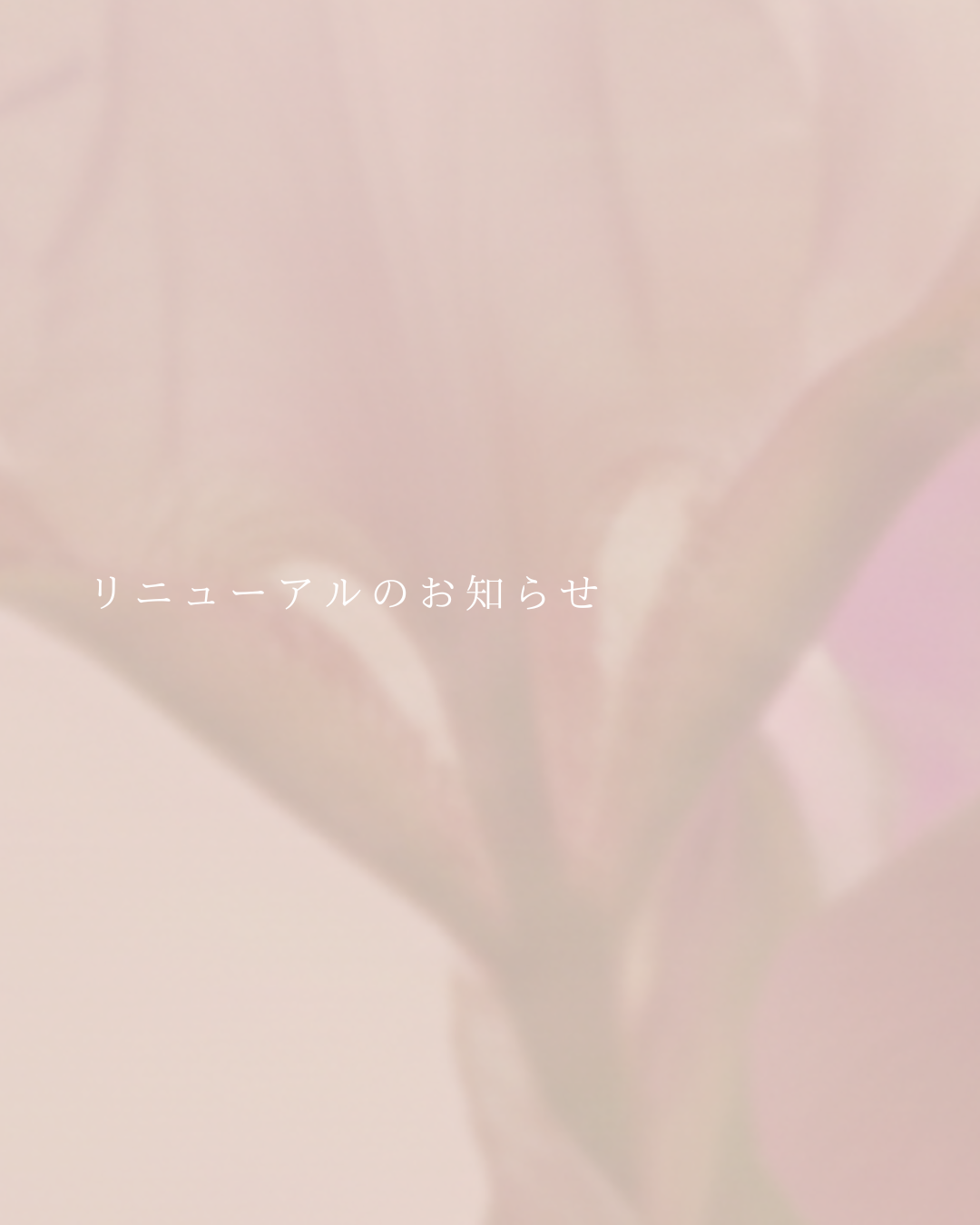 リニューアルのお知らせ