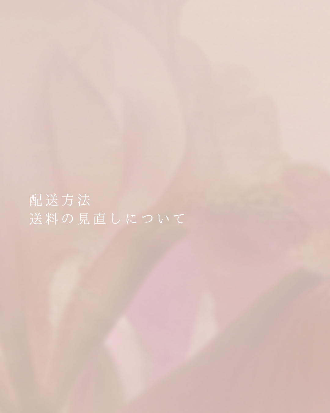 【配送方法・送料の見直しについて】