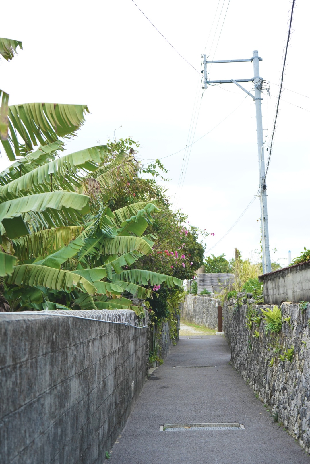 それぞれの1日。【しまよそコラム no.080 /うえむら】