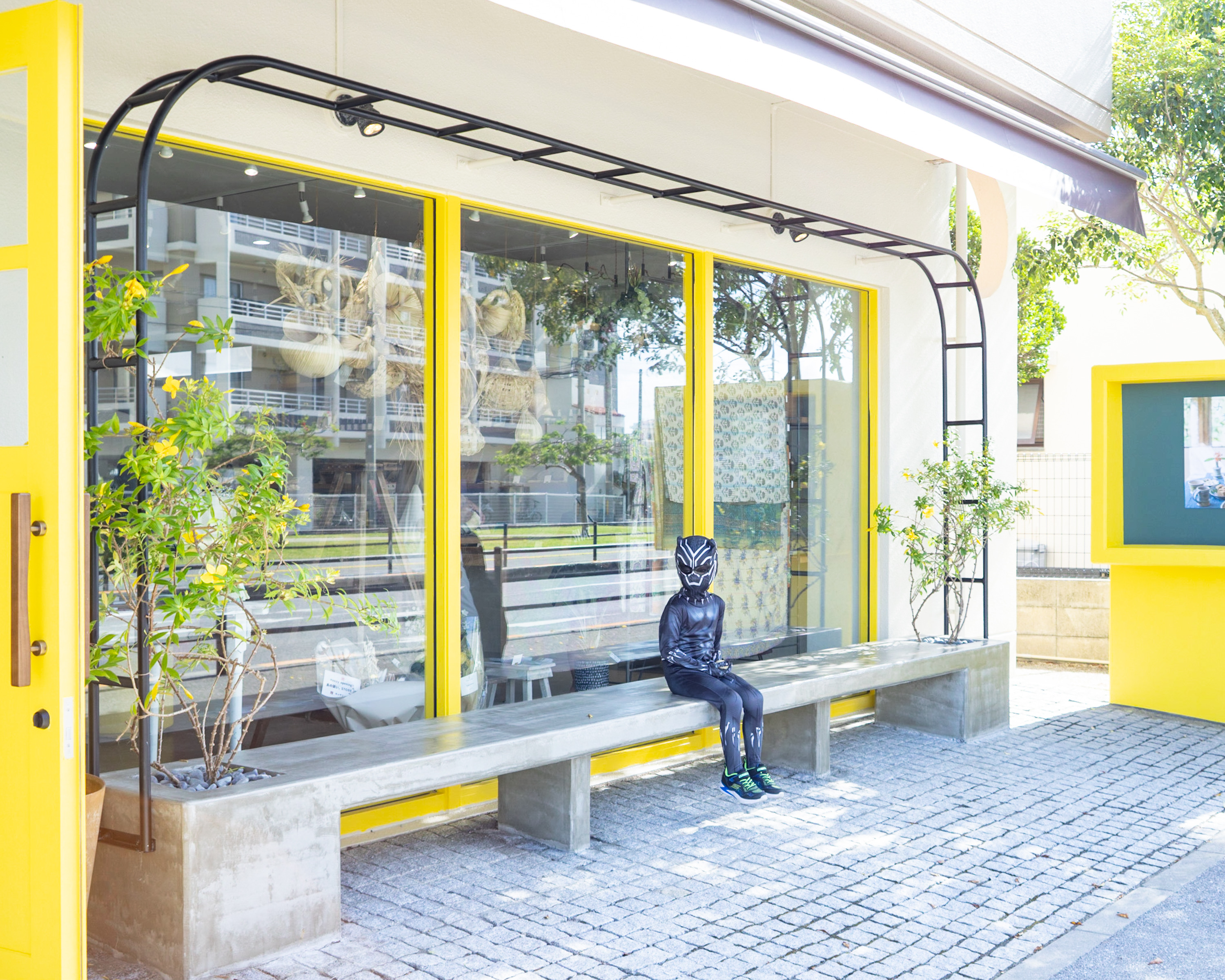 伸びるとき【しまよそコラム no.057 /セソコ】