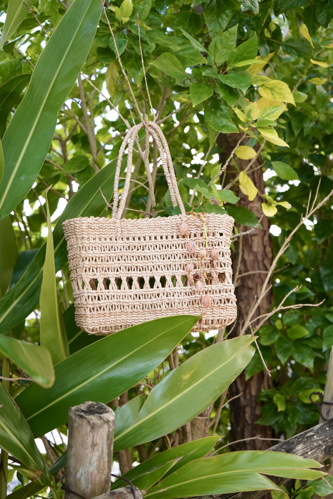 すぐそばにある景色【しまよそコラム no.072 ／うえむら】