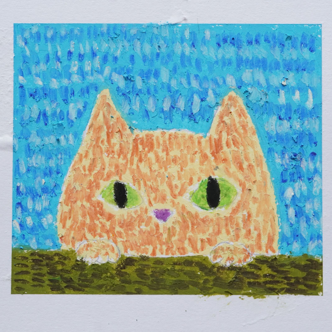 ちょっと不思議な、ねこのはなし