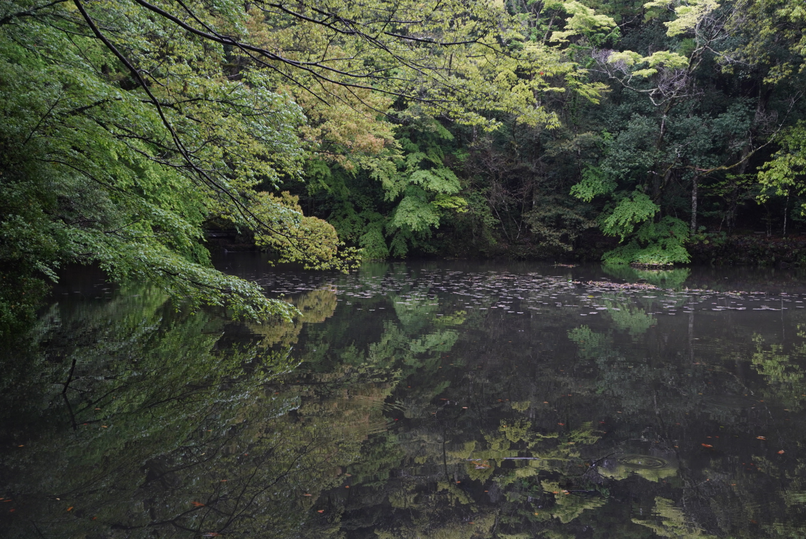 戻りたい過去はありますか？