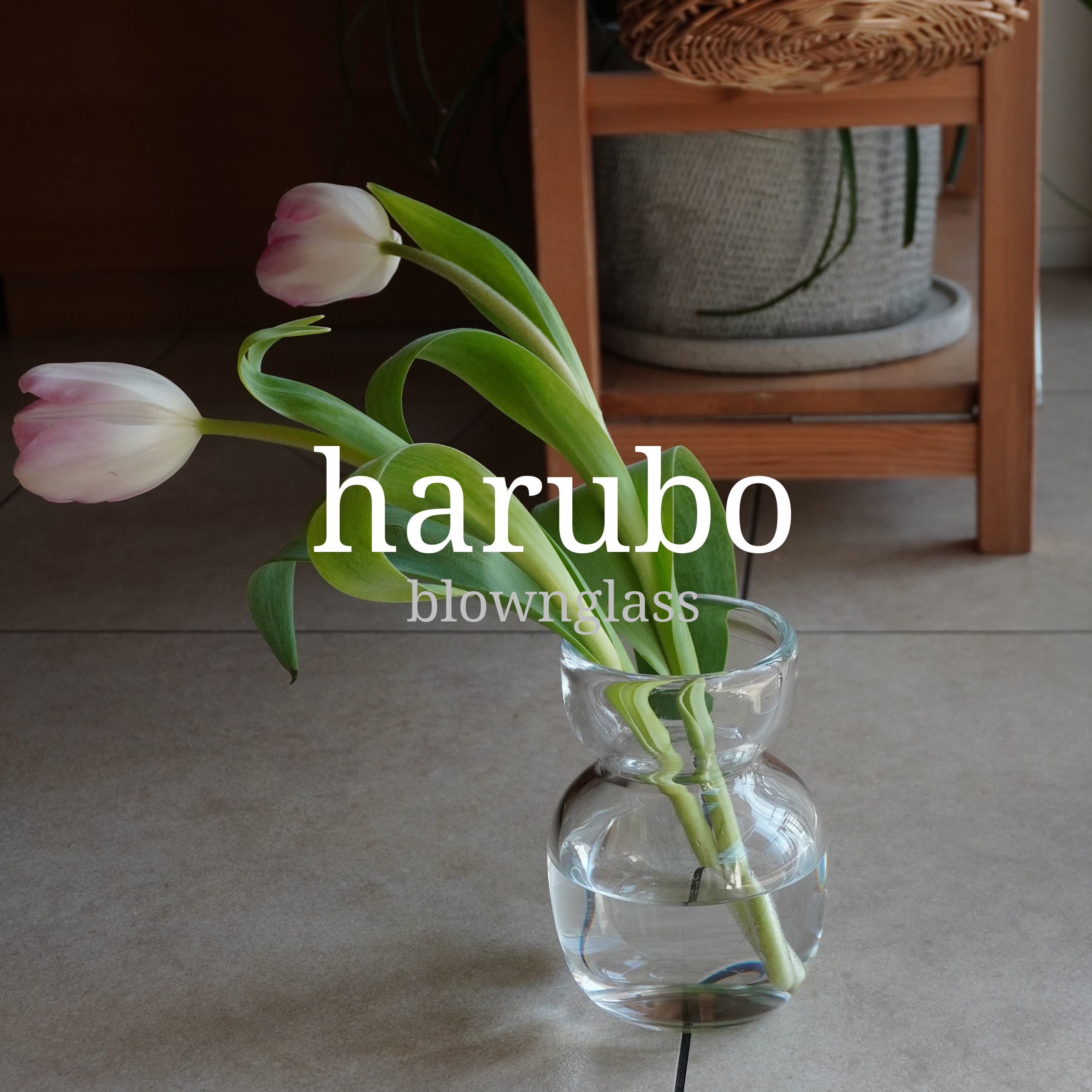 harubo