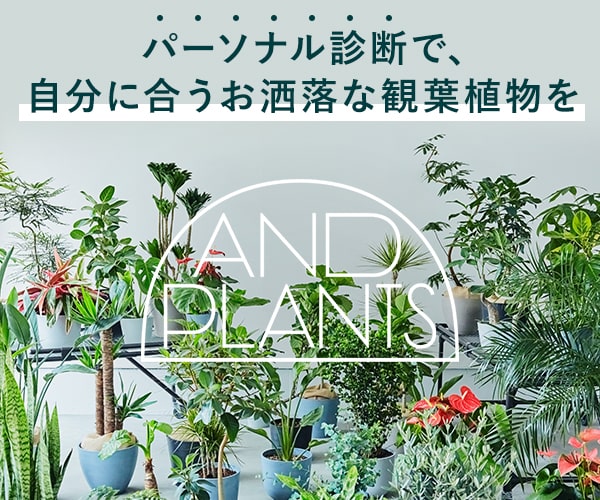 パーソナル診断であなたにぴったりのオシャレな観葉植物を【AND PLANTS】おご案内