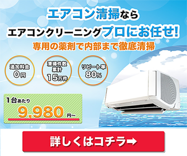 エアコン清掃はプロにお任せ！【エアコンクリーニングの専門家】のご案内