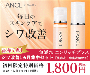 無添加エンリッチプラス シワ改善1ヵ月集中セット【美容液・酵素洗顔付き】