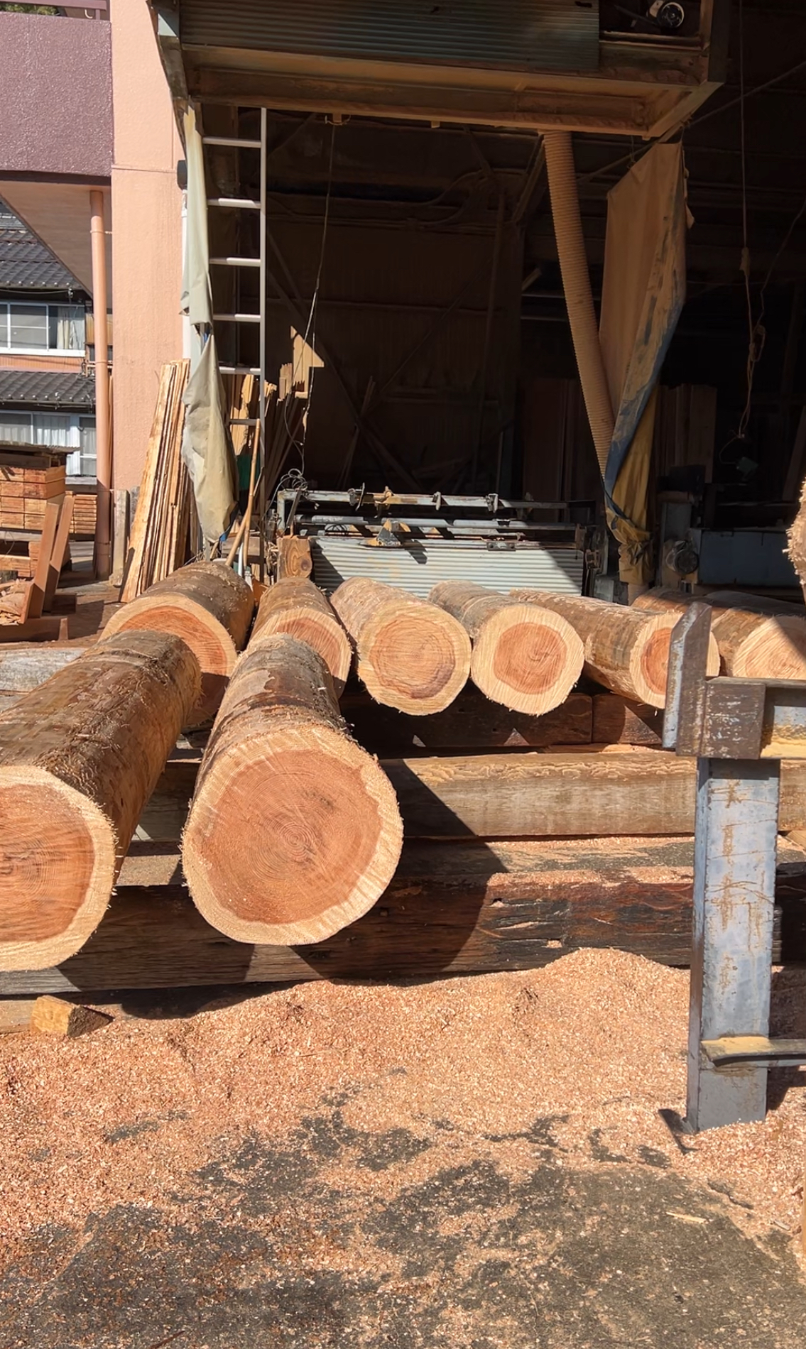 巣箱を作る準備