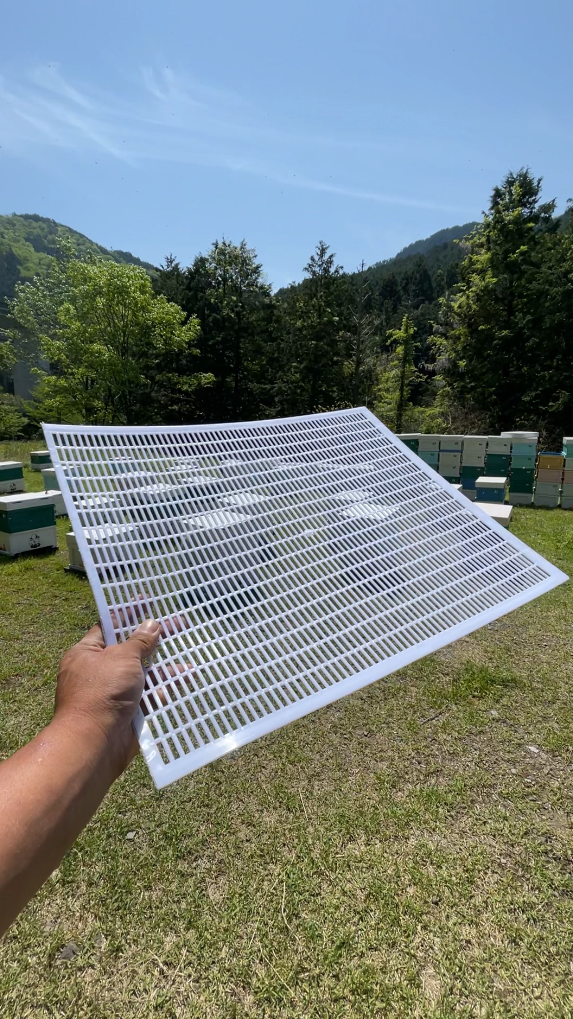 蜂蜜専用エリアをつくる