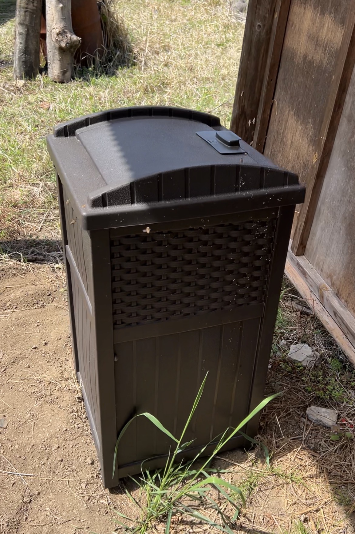 都会から来た日本蜜蜂