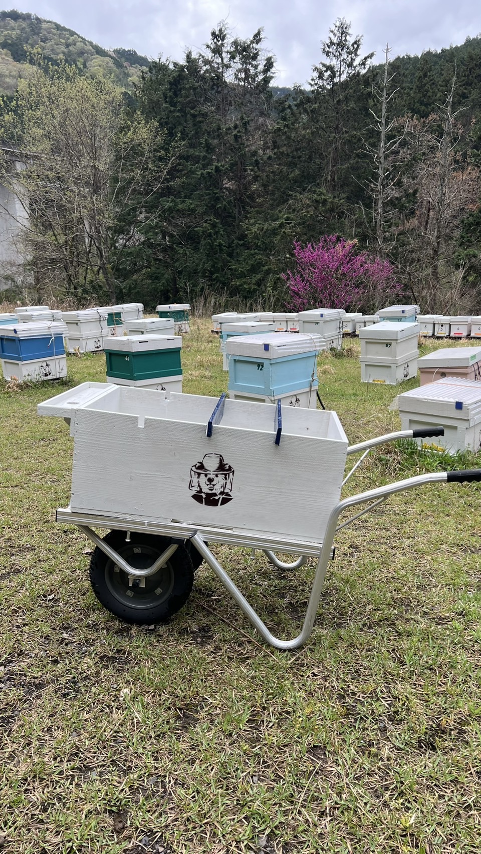 巣枠運搬号をつくる