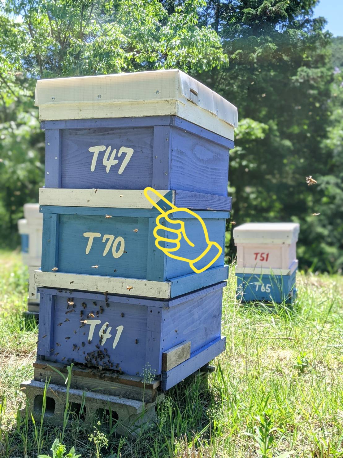 養蜂家のDIY