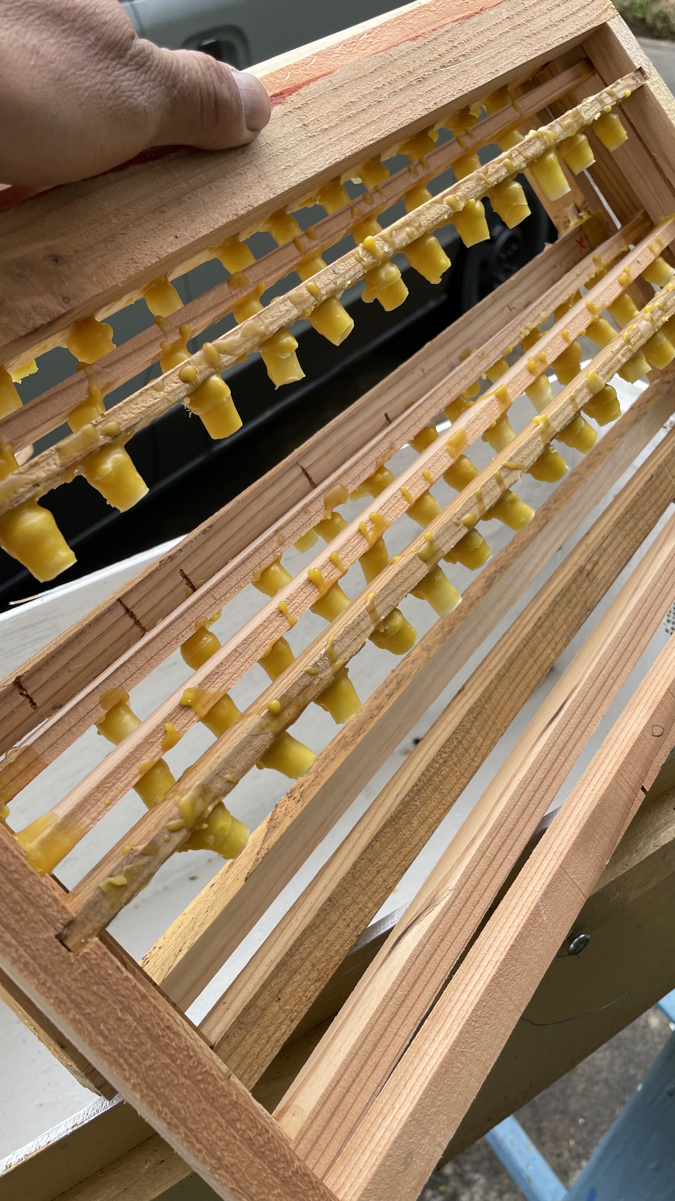 女王蜂を作る枠と、つぎ箱対策