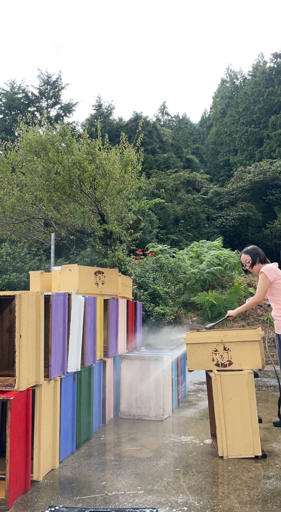 巣箱のメンテナンス