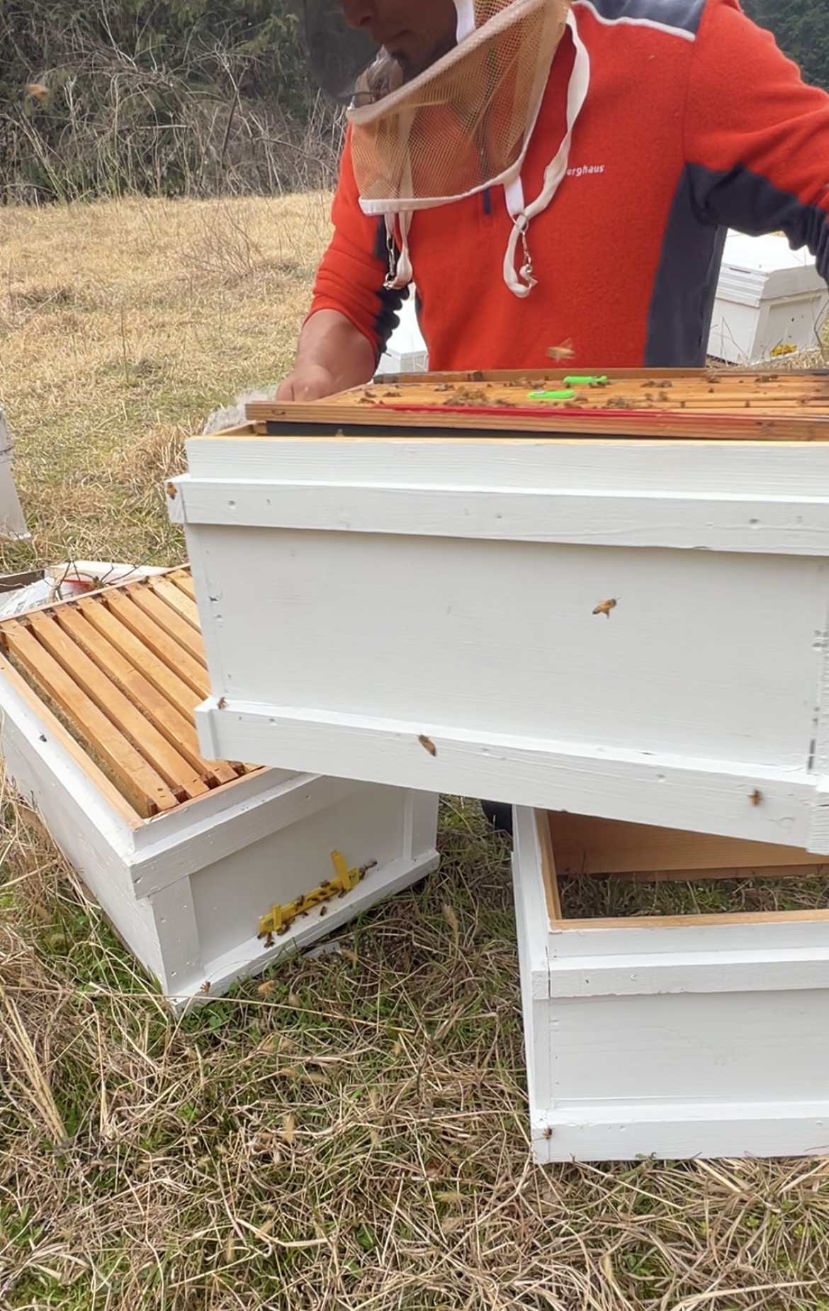 巣箱を２階建てに