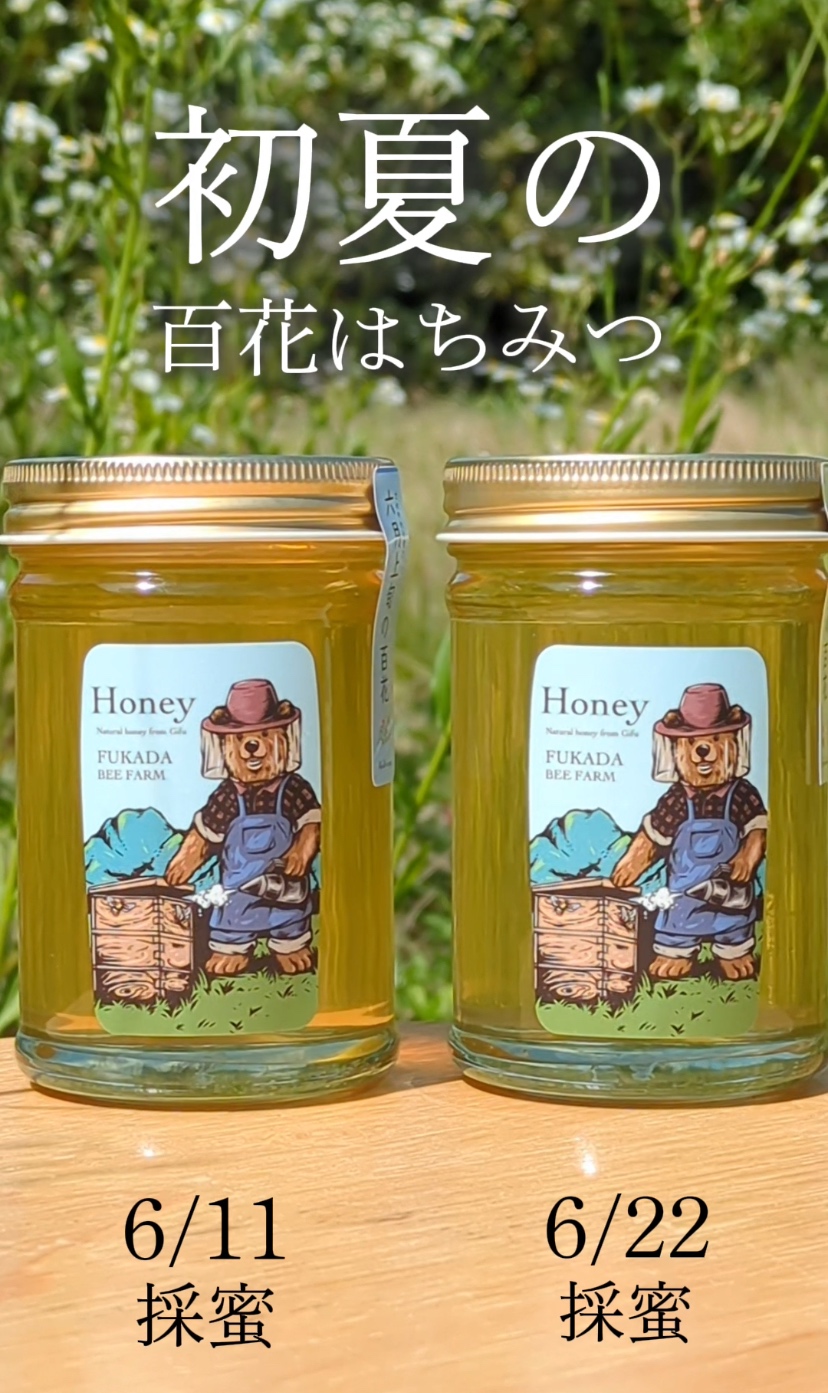 初夏シリーズ販売