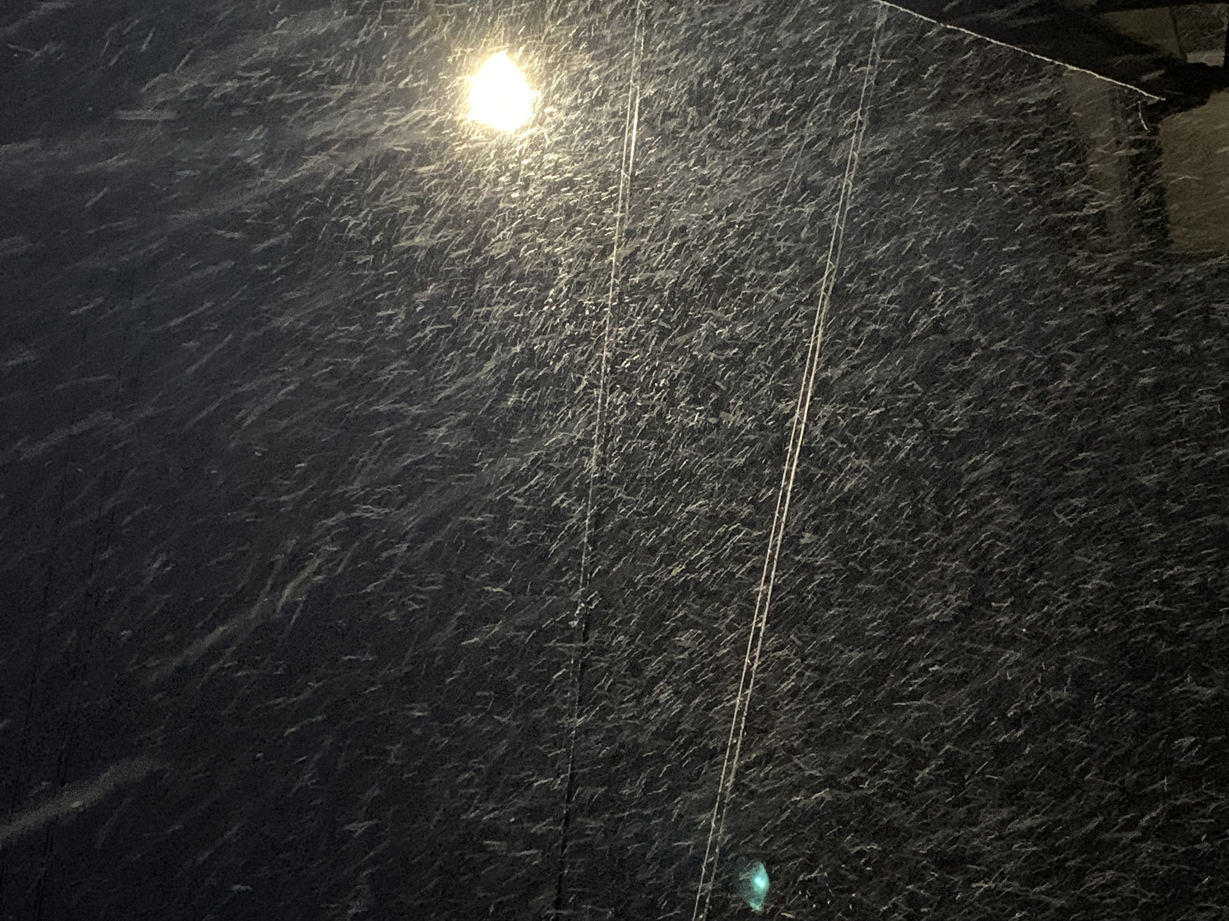 雪が降る