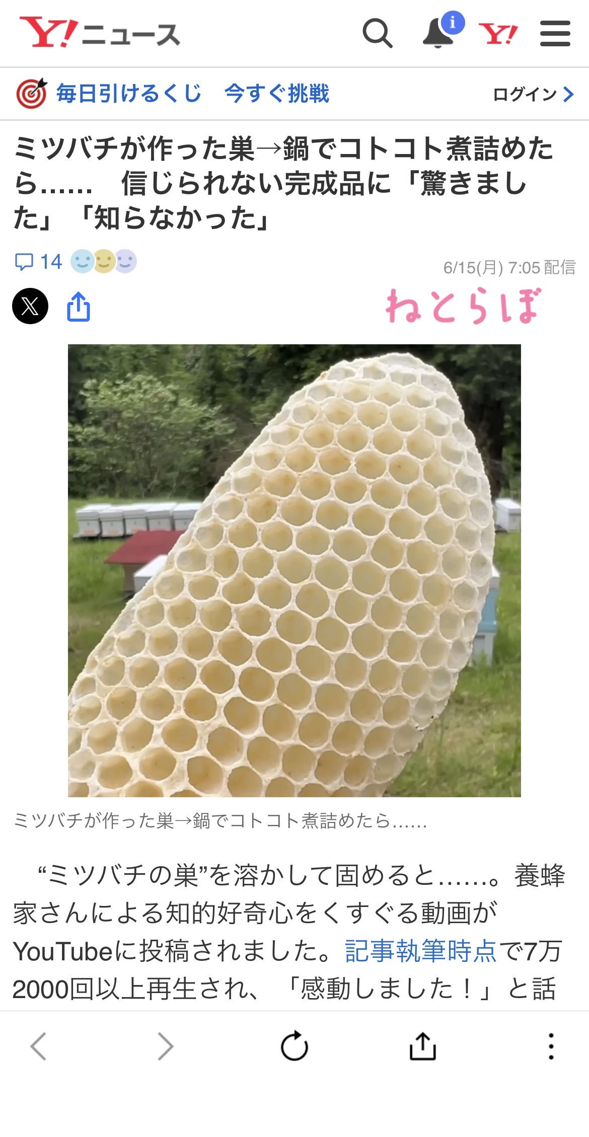 取材記事