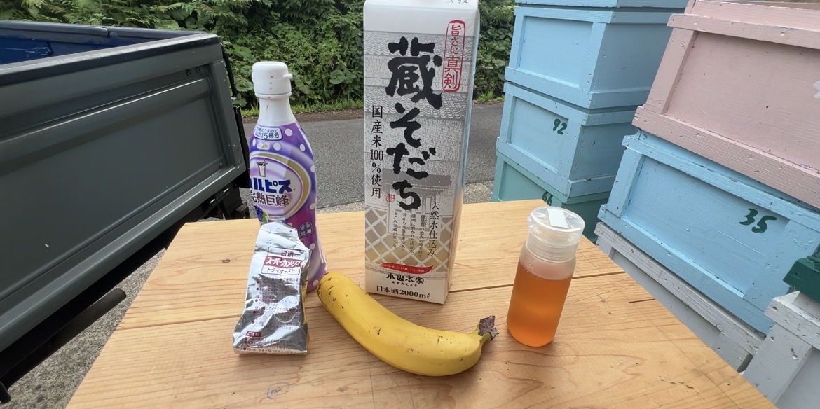 養蜂場のクワガタ探し