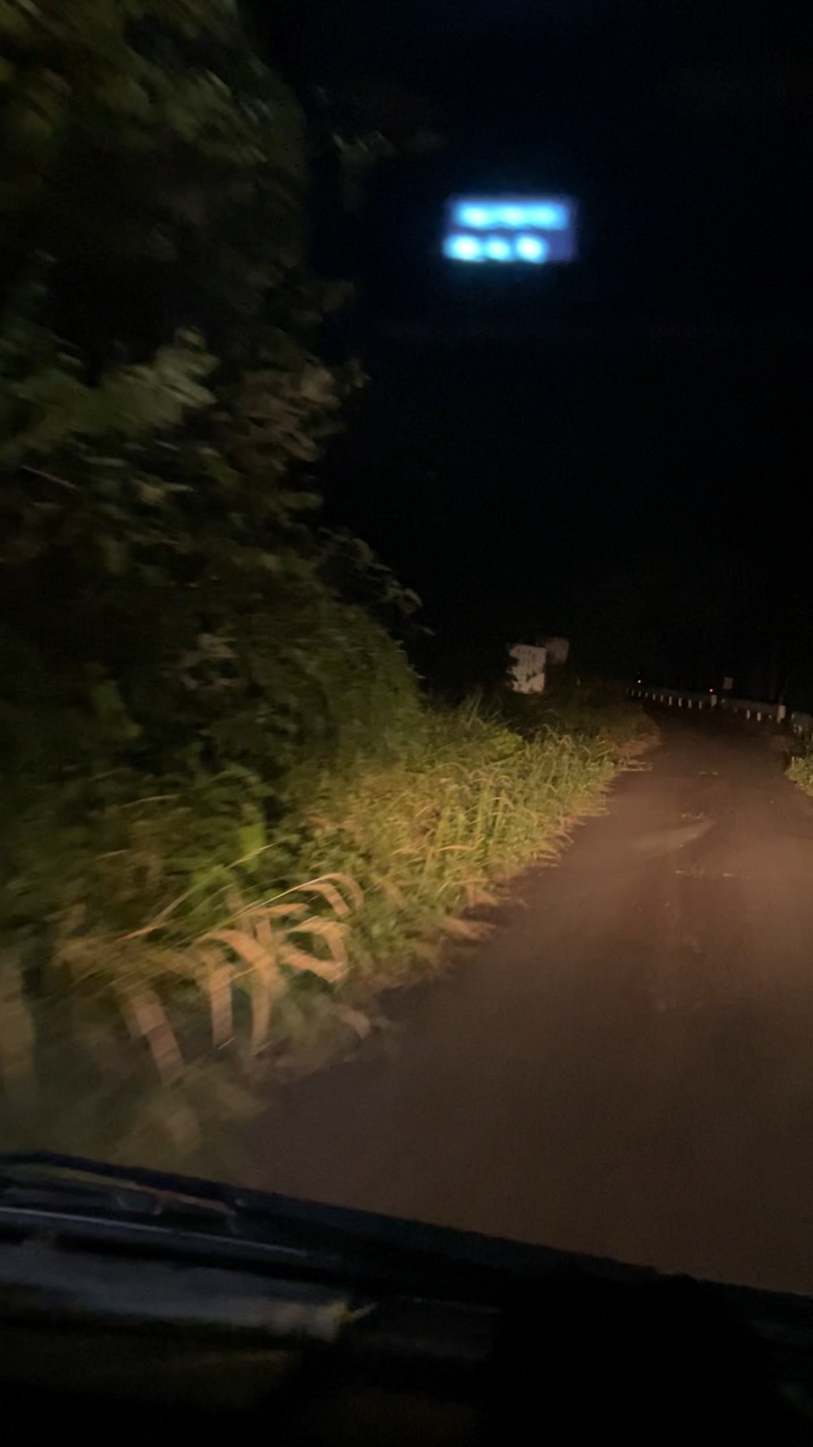 夜中の養蜂場は怖い