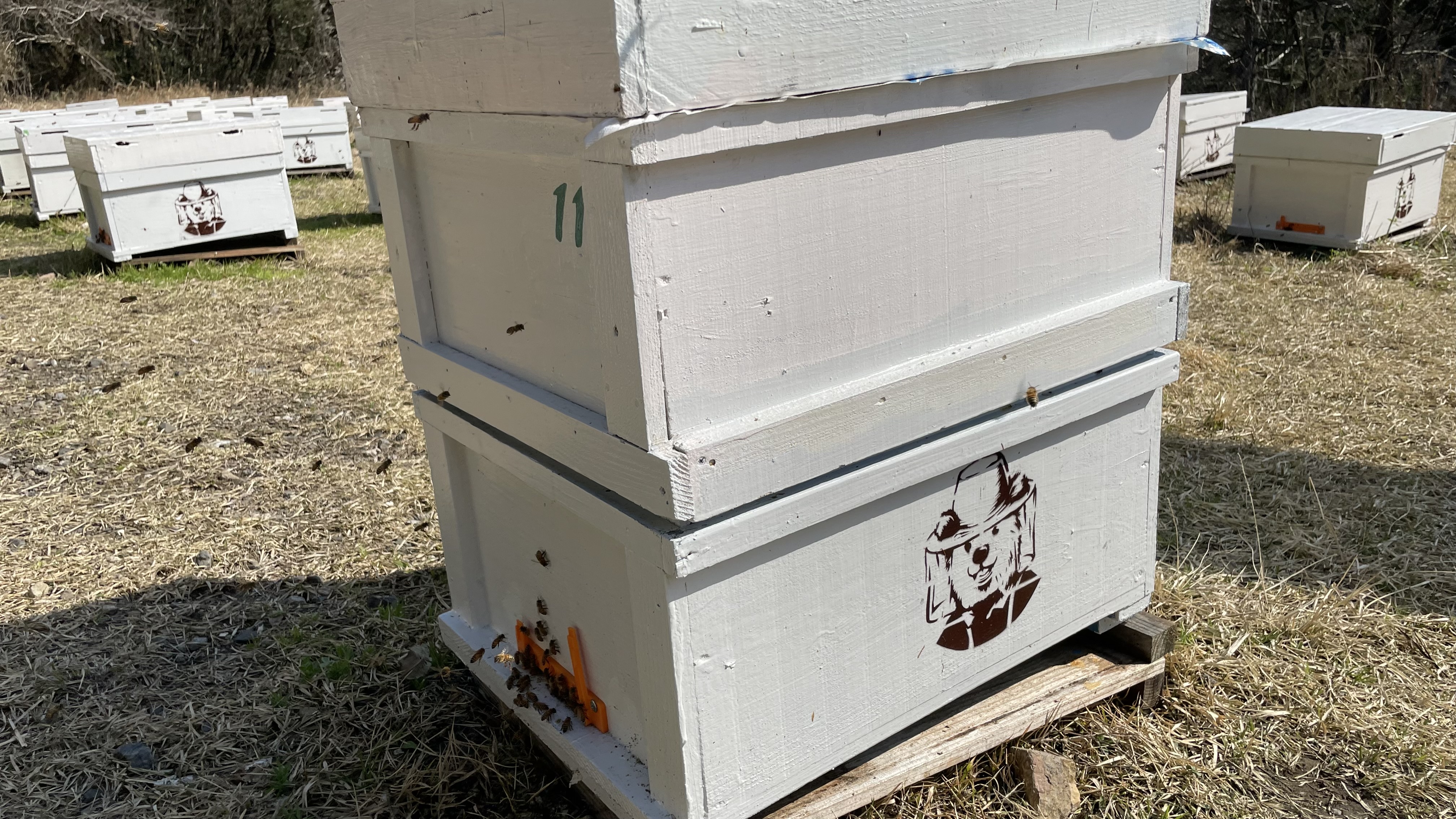 ２階建てに増築