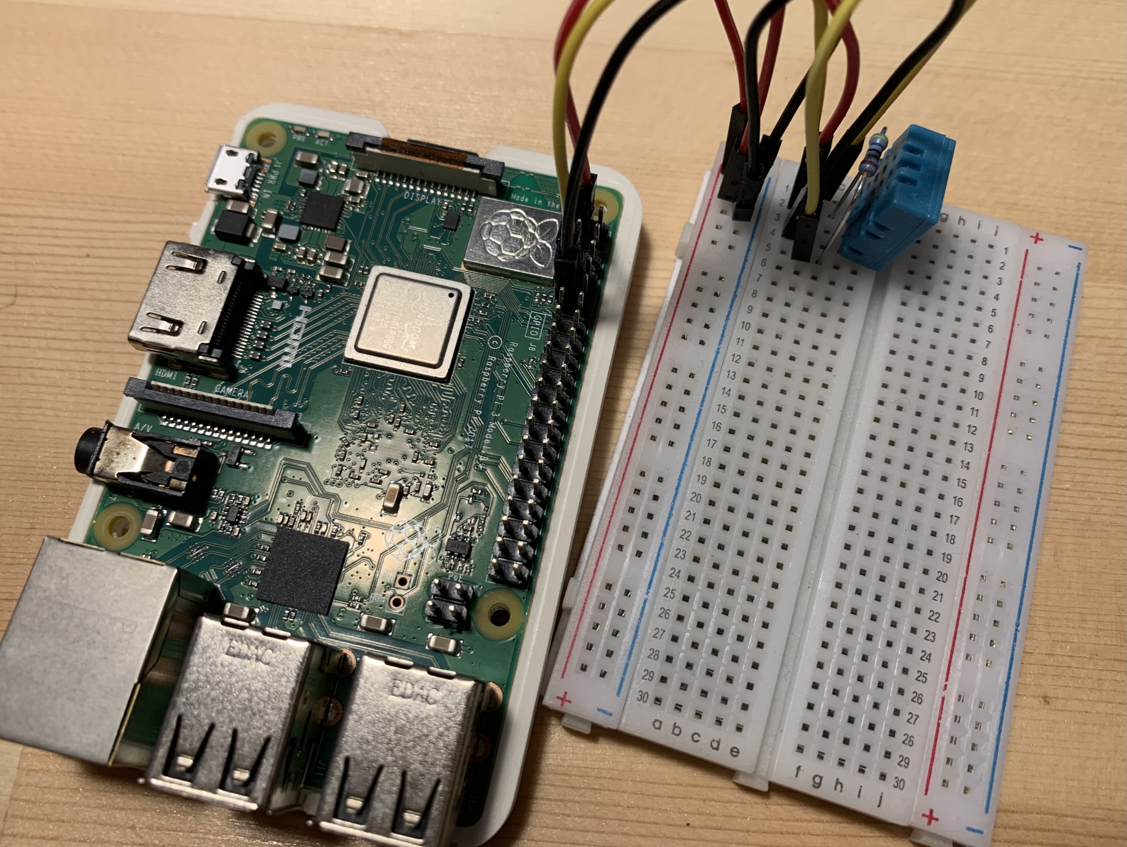 養蜂とIOT