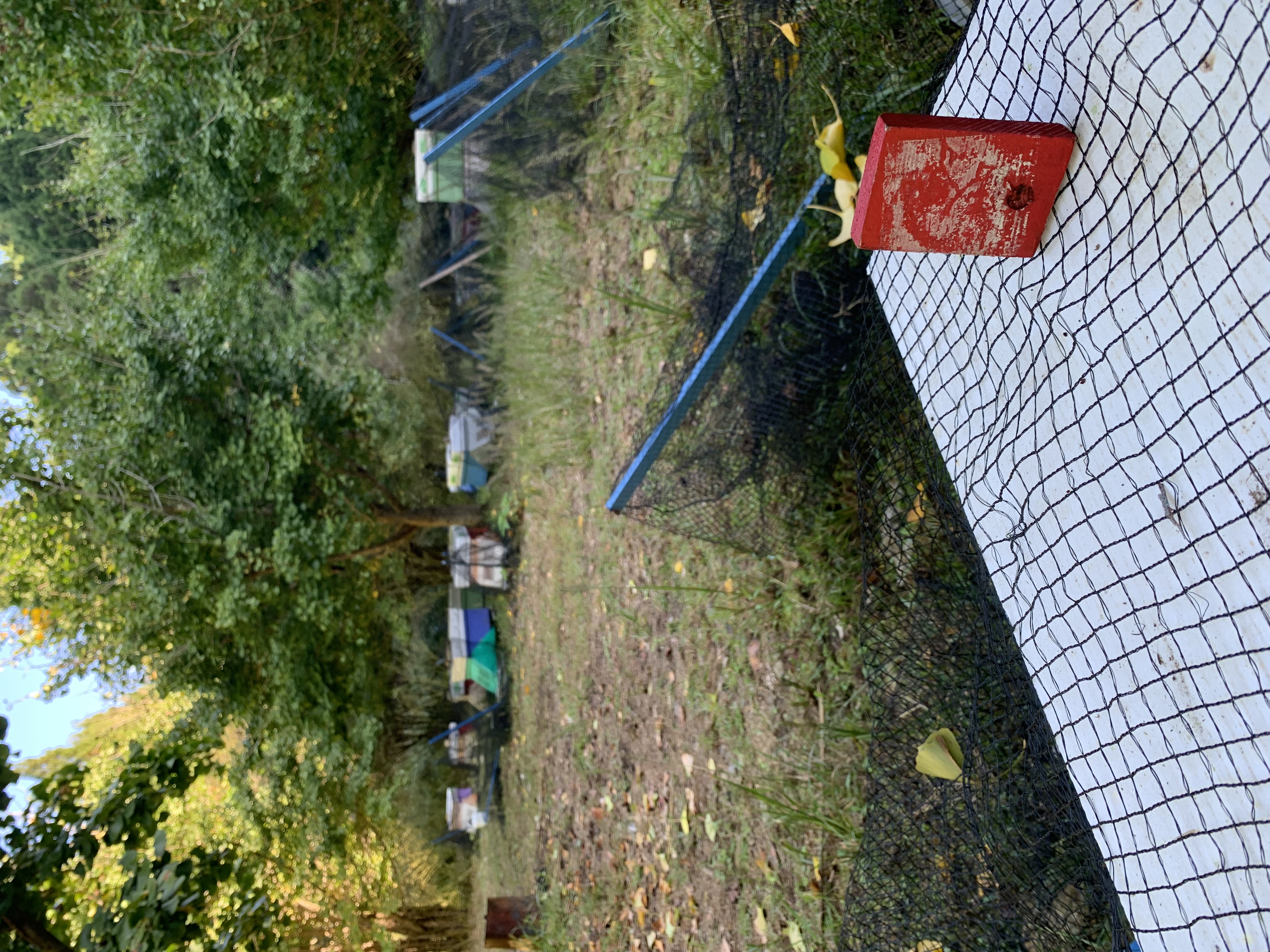 越冬準備