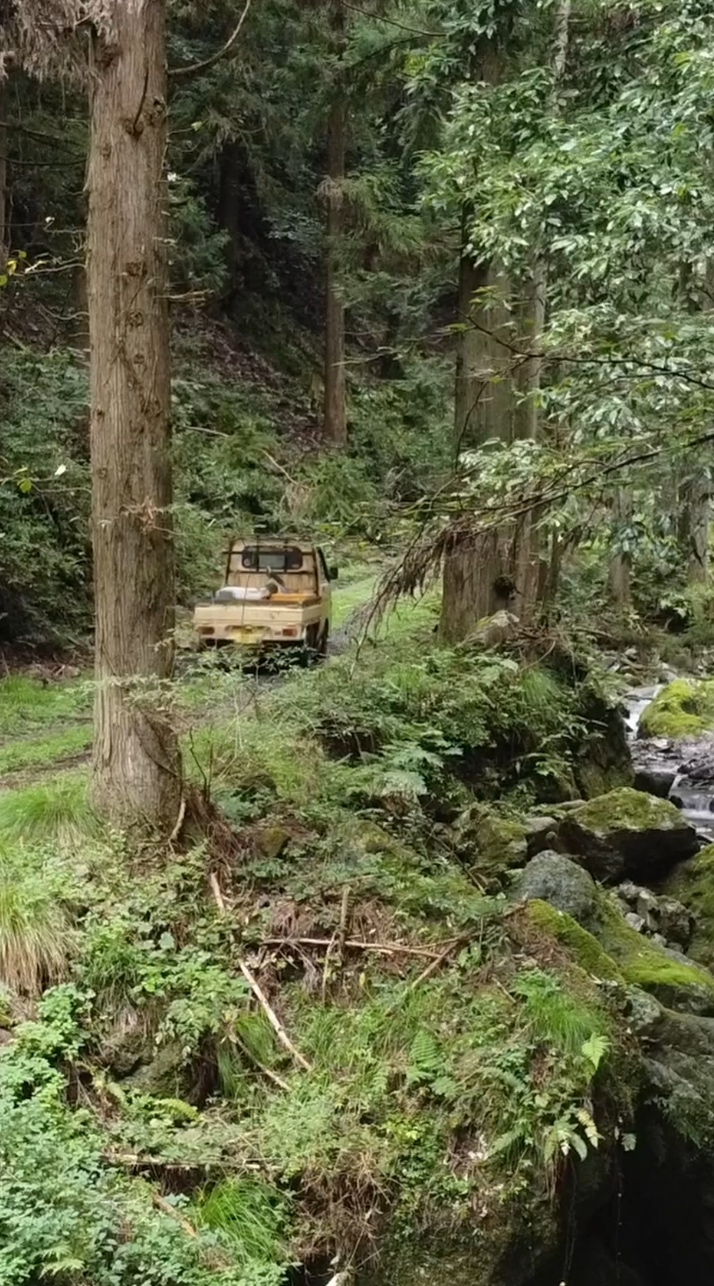 山奥の養蜂場