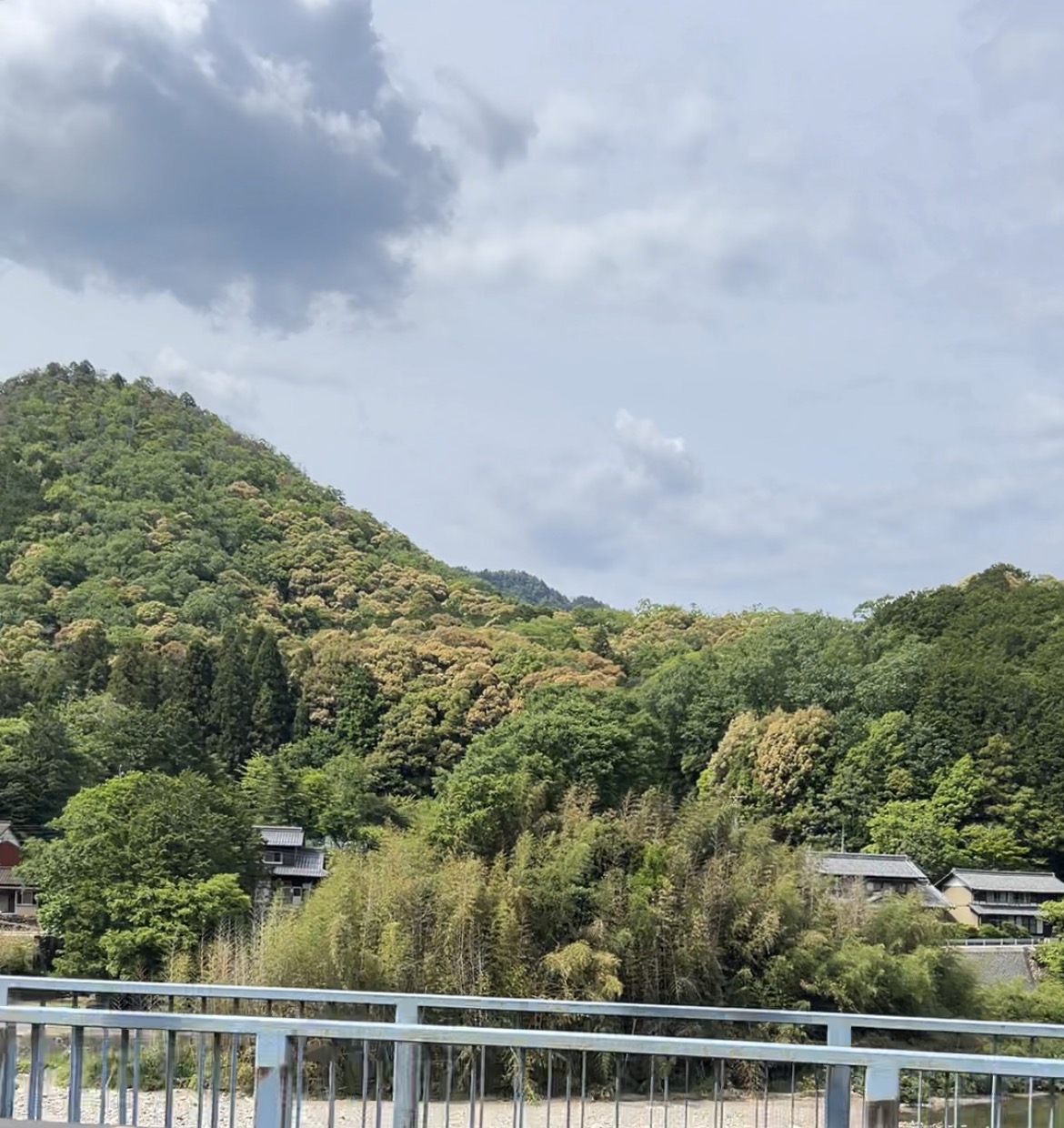 季節が早い