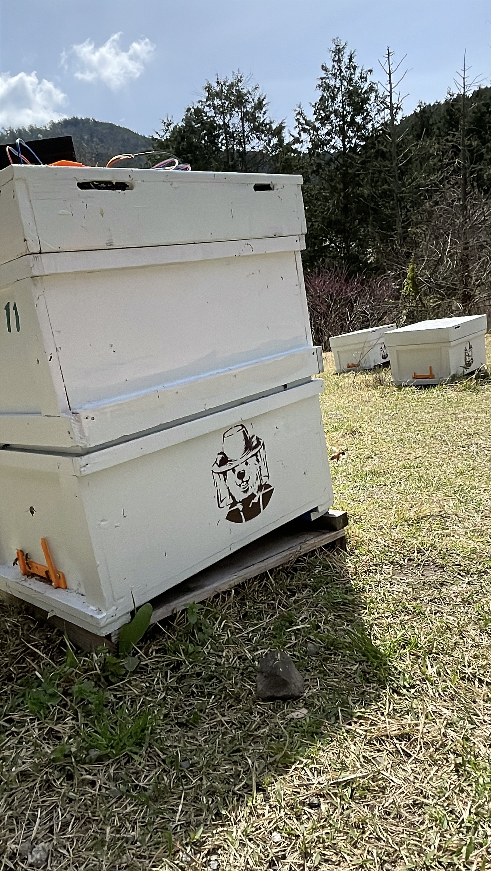 遠い場所の養蜂場