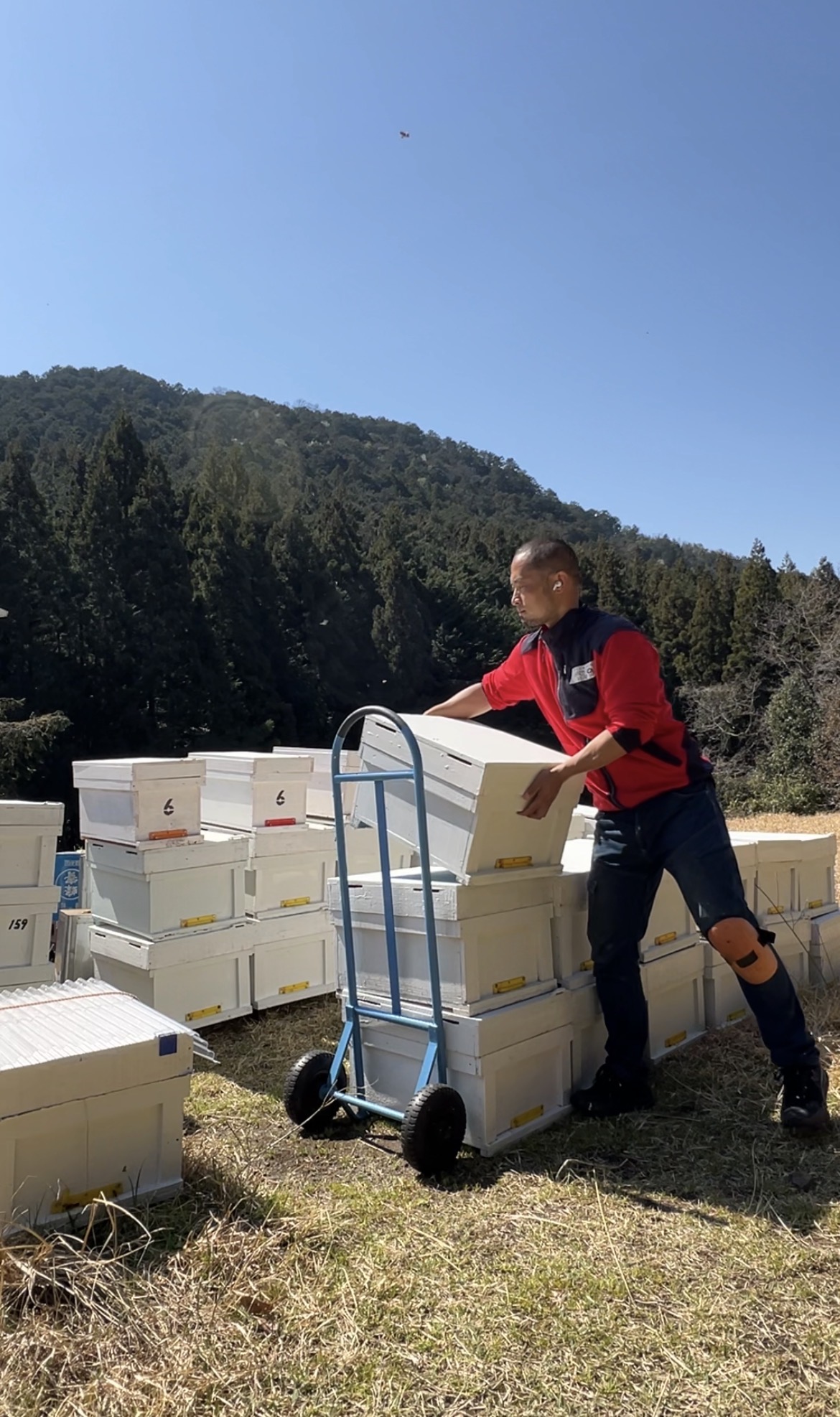 家間違いの実験