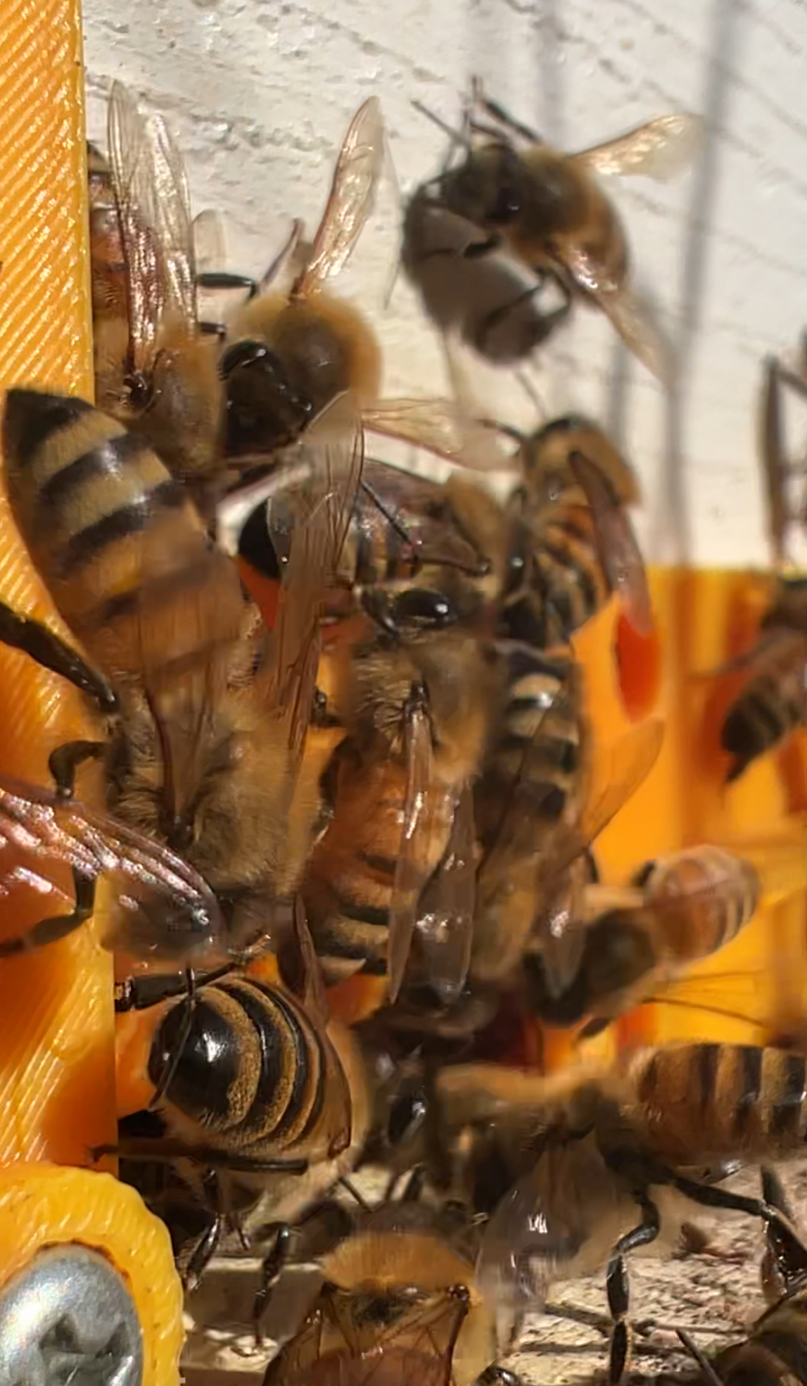 初雪が早いですが