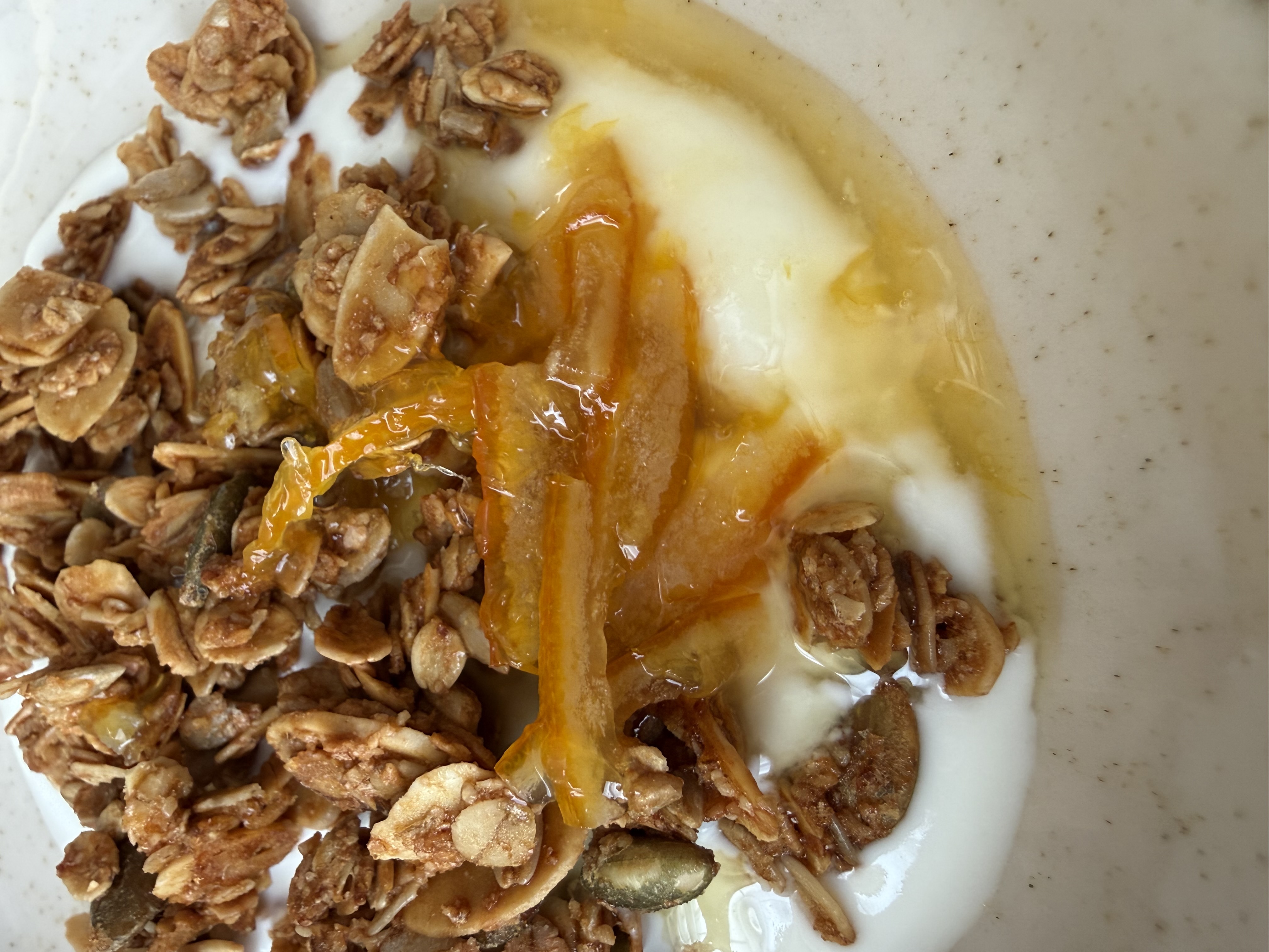 ジャム１号のネーブルオレンジ🍊