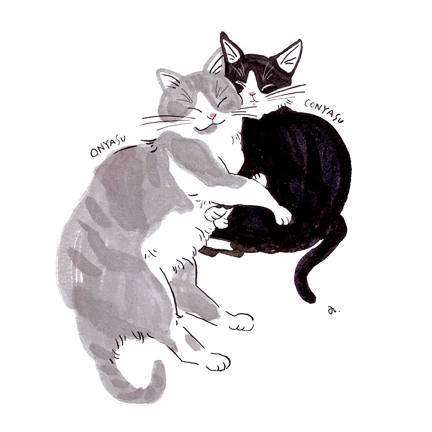 ブログはnoteにも投稿しています