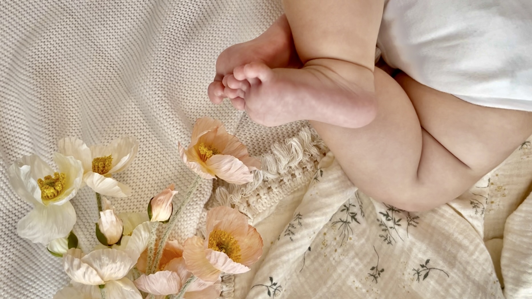 ご購入前にご一読ください