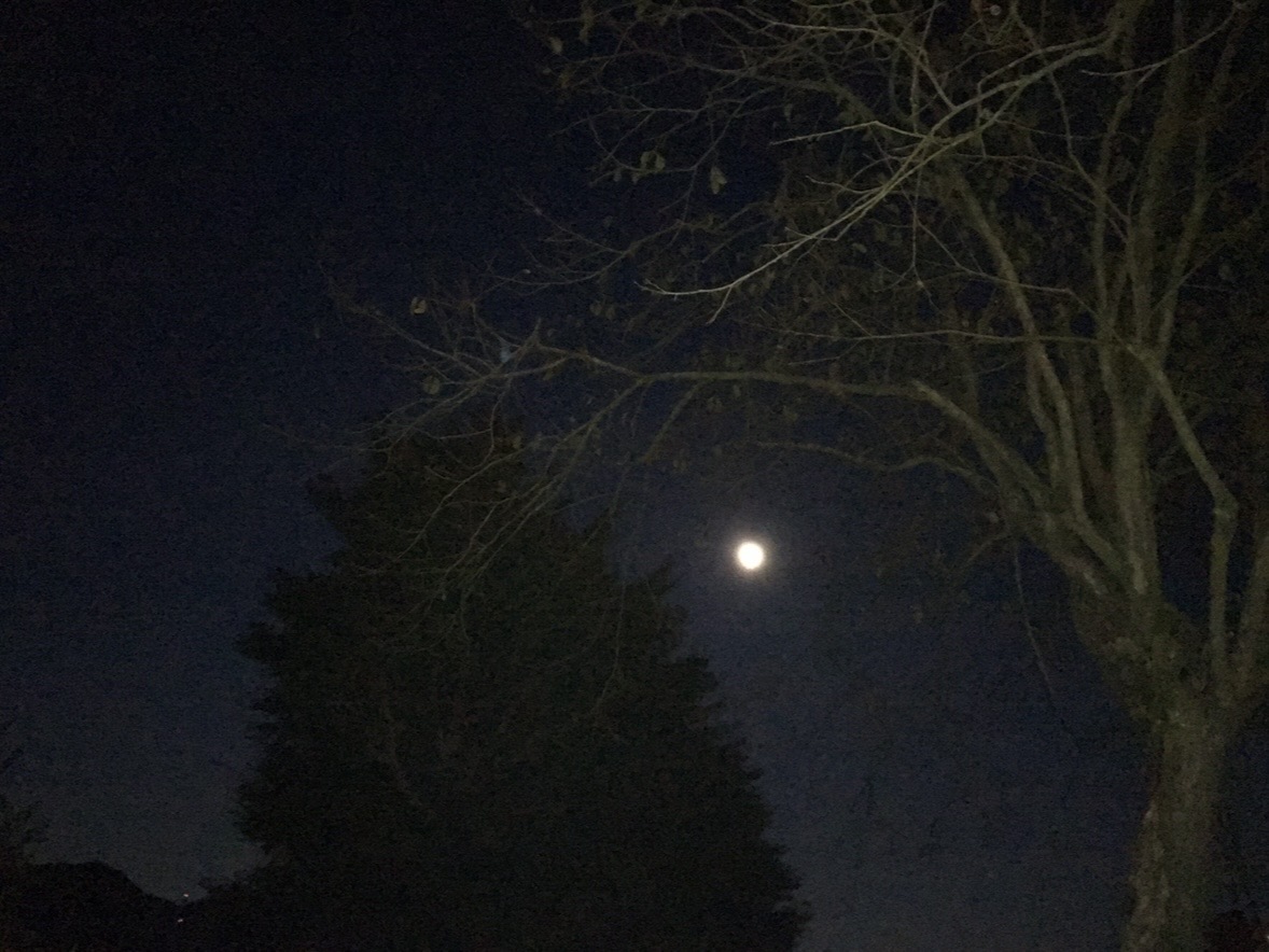 紙文具の繋ぐ、夜半の覚え書き