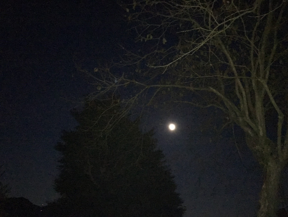 『夜半に開く、紙文具屋の日々の欠片』