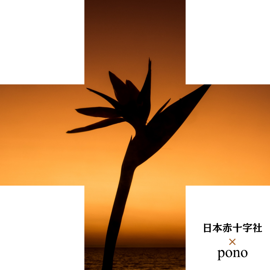 社会活動への取り組み